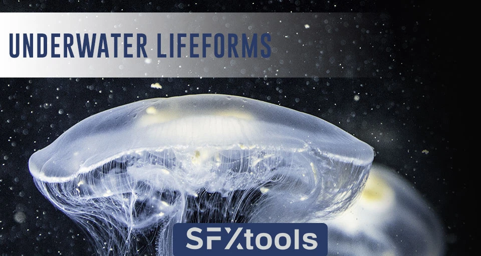 Underwater Lifeforms cover artwork